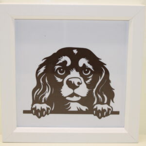 Framed Cavalier King Charles Spaniel Picture