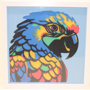 Framed Parrot Picture