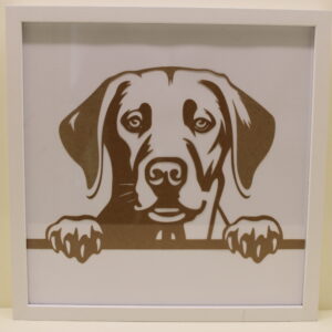 Framed Labrador Picture