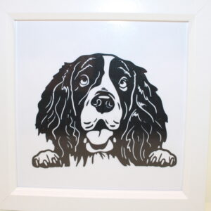 Springer Spaniel Frame