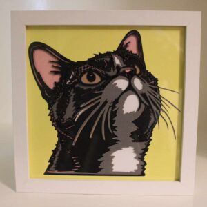 Gray Cat Frame