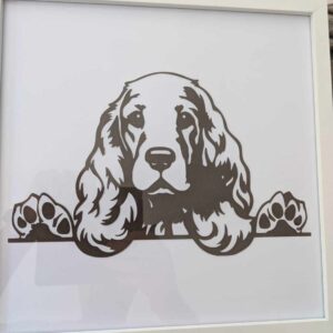 Cocker spaniel Frame