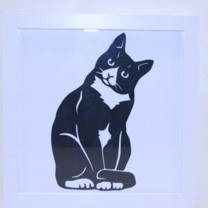 Tuxedo head tilt Cat frame