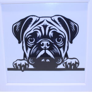 Pug Frame