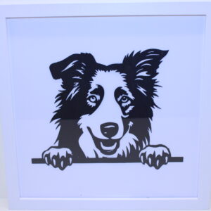 Border Collie Frame