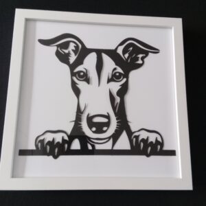 Greyhound Picture